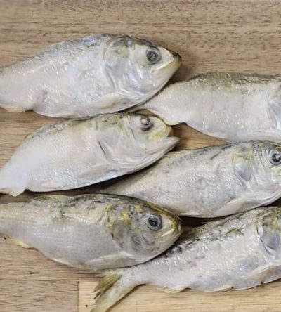 1lb Small Menhaden