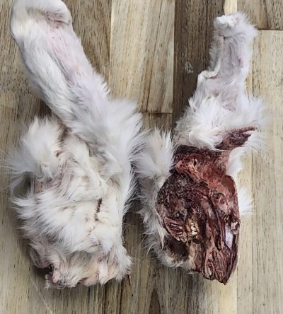Freeze Dried Rabbit Heads - With Ears