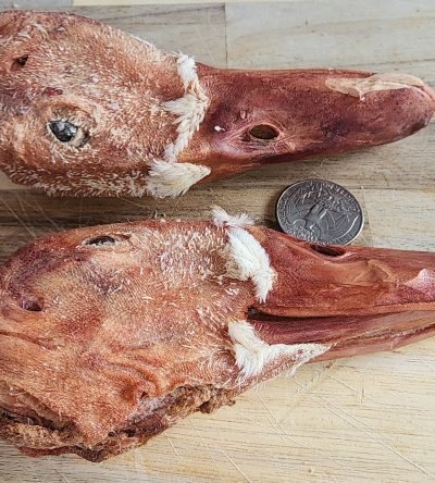 Freeze Dried Duck Head - Regular