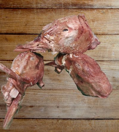 Freeze Dried Duck Head - Ugly Duckling